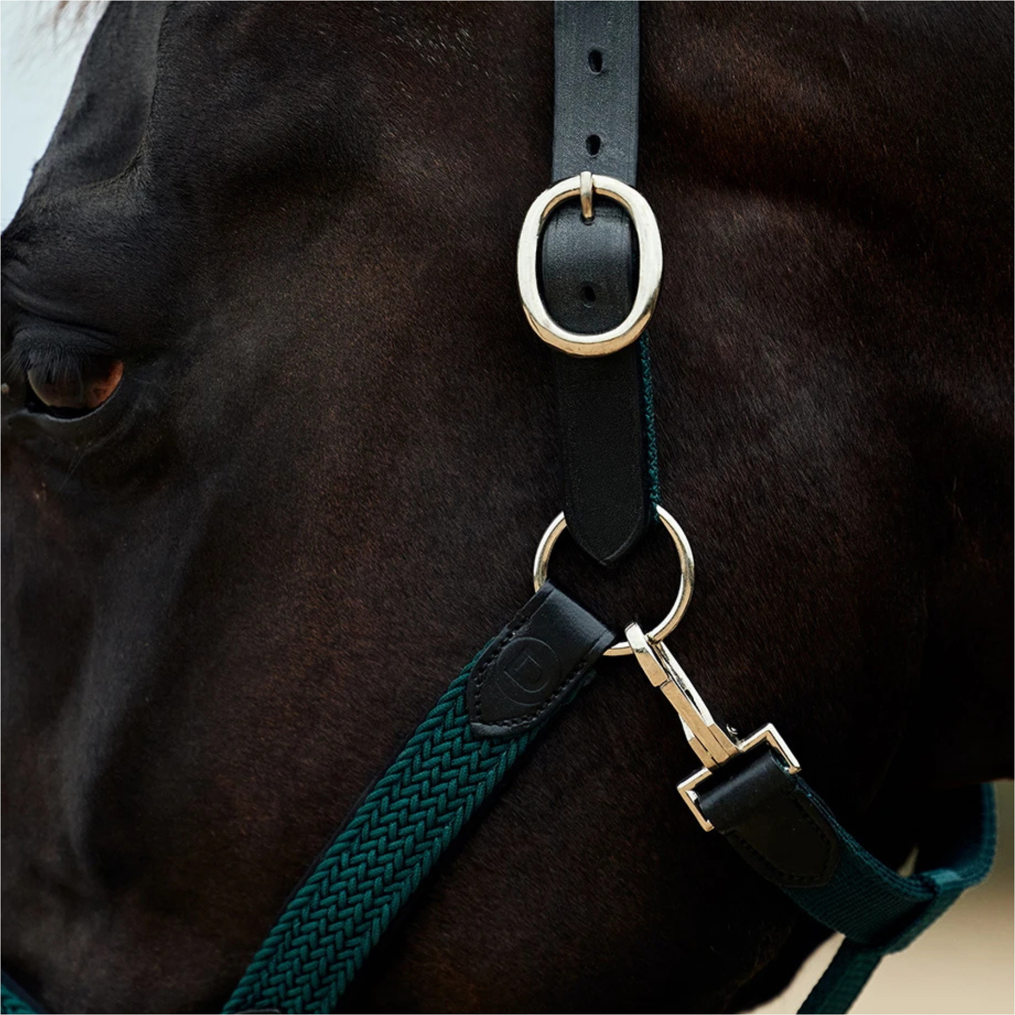 2026 Dublin Braided Leather Headcollar 1031532 - Hunter Green